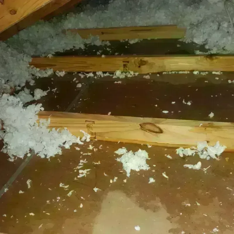 Attic Water Damage in Rutherford, TN