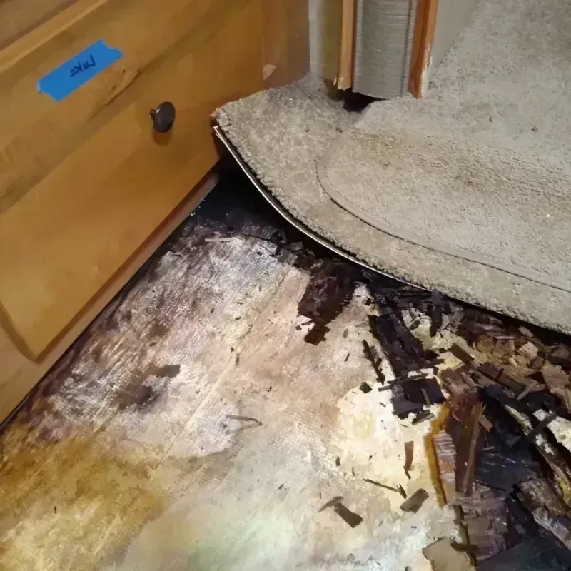 Wood Floor Water Damage in Rutherford, TN